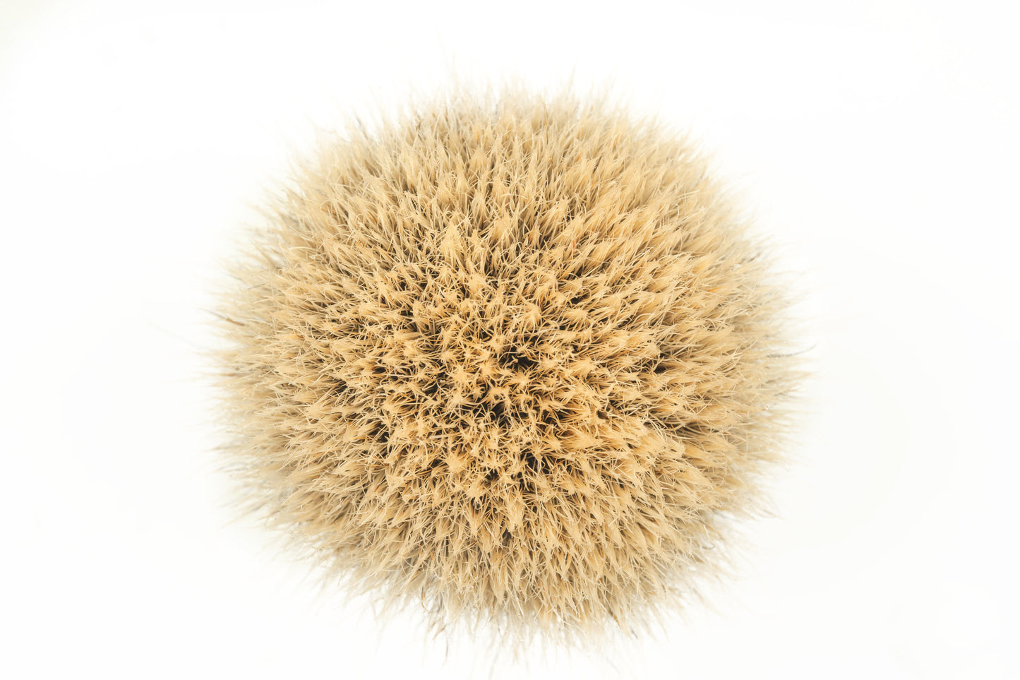 Class A-4 Finest two band shaving brush knot