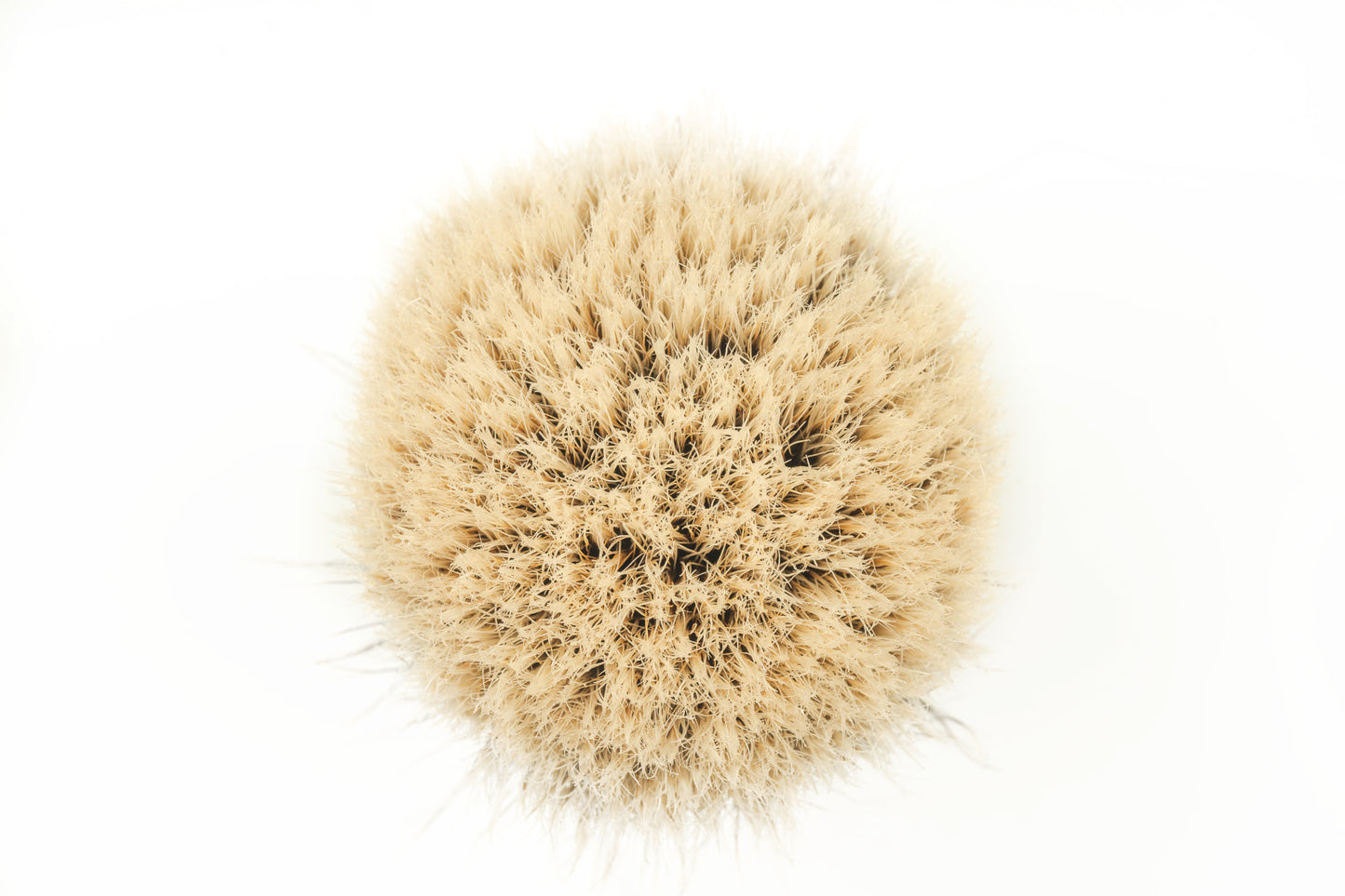 Class B-3 finest two band shaving brush knot