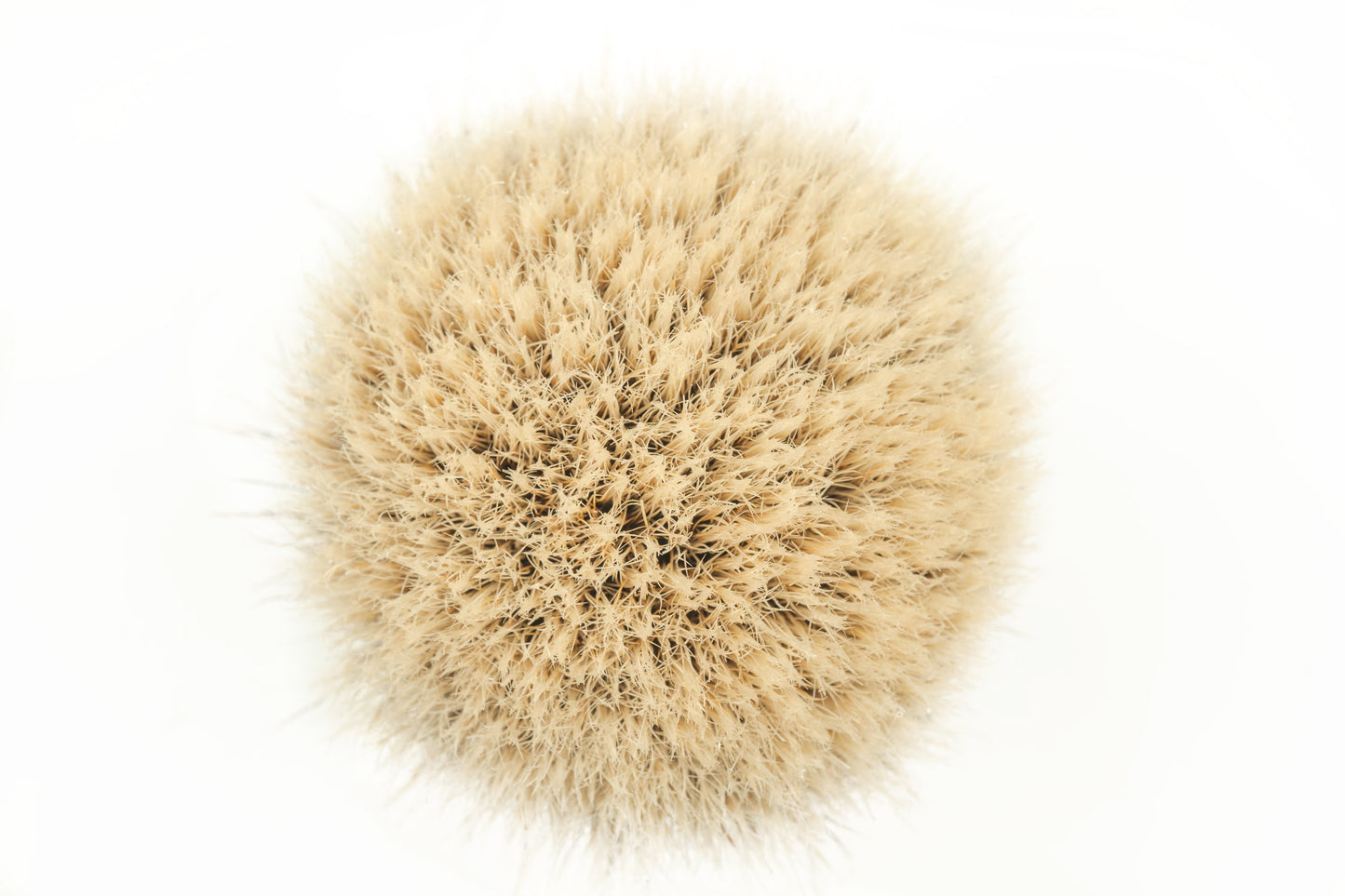 Class B-3 finest two band shaving brush knot