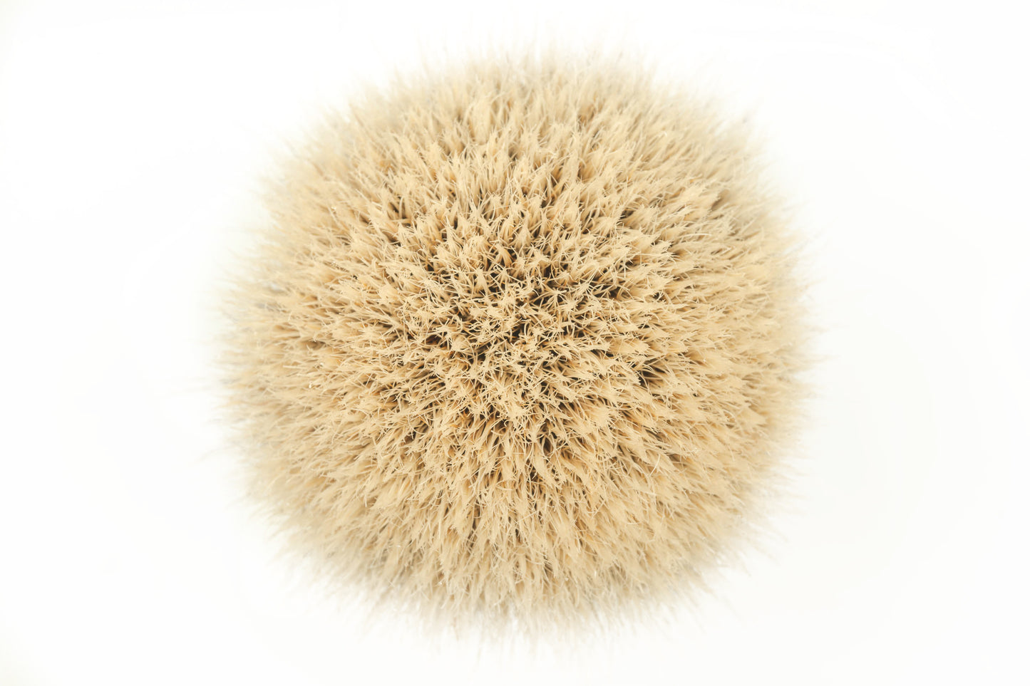Class B-3 finest two band shaving brush knot