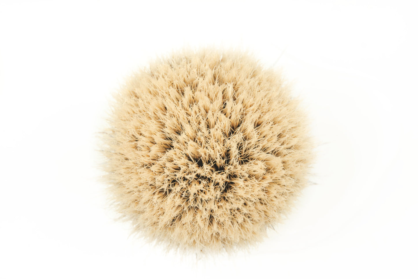 Class C-3 finest two band shaving brush knot