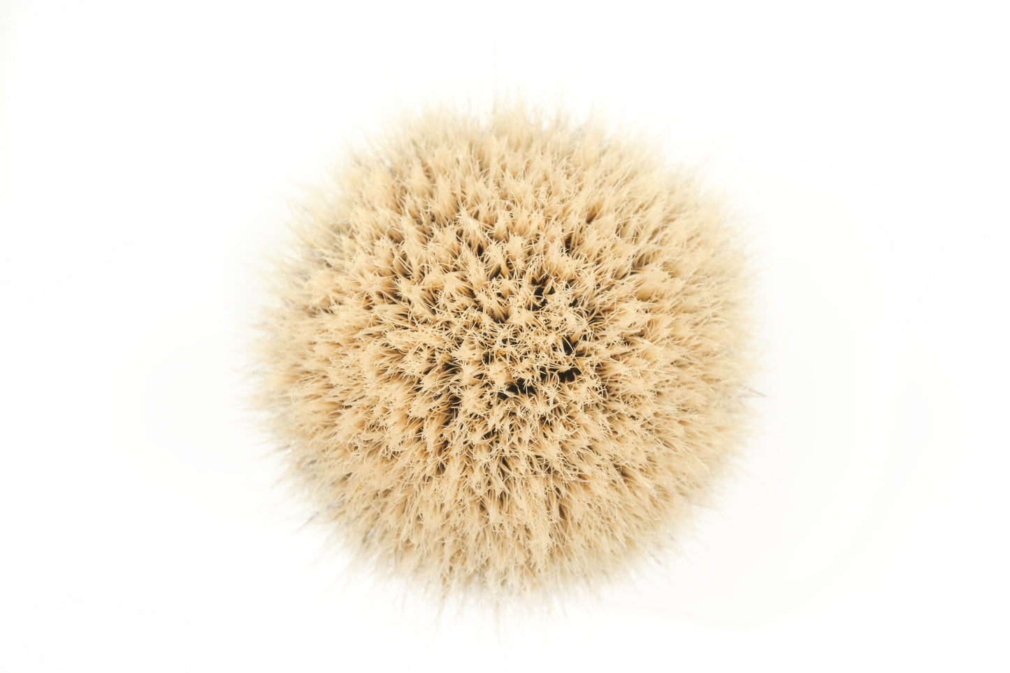 Class C-3 finest two band shaving brush knot