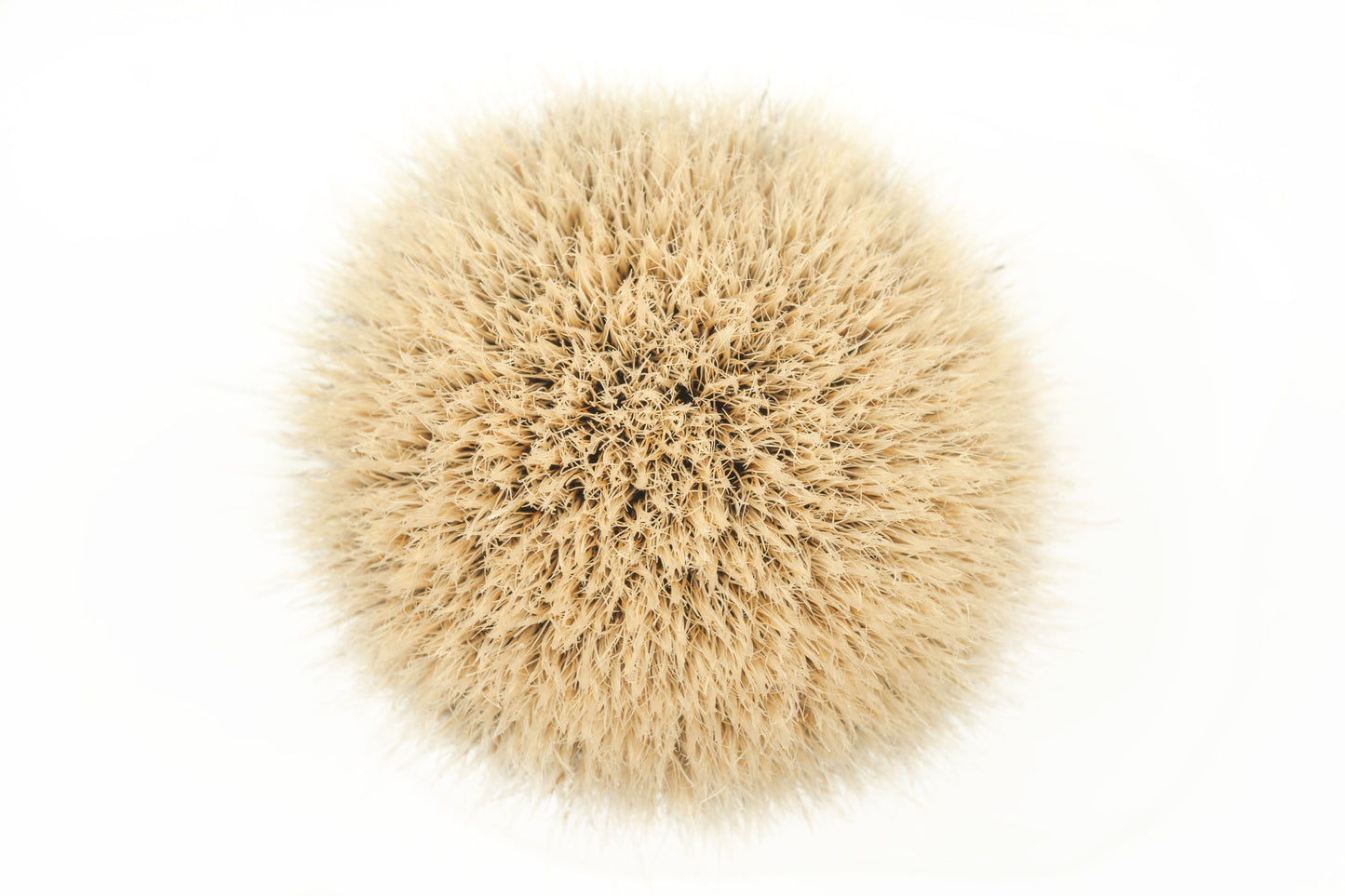 Class C-3 finest two band shaving brush knot